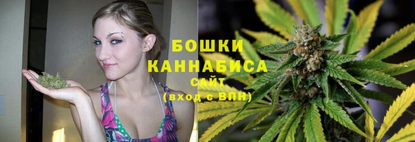 мдпв Осинники