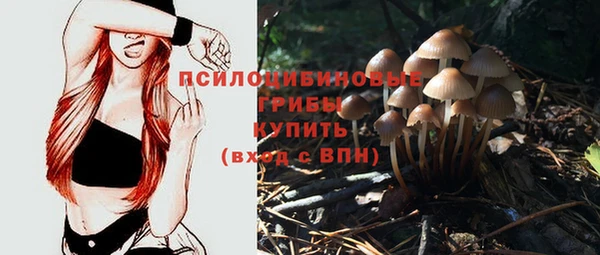 шишки Валуйки