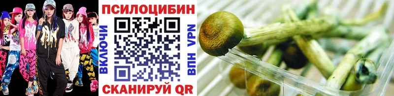 mega ссылка  Ильский  Псилоцибиновые грибы мицелий 